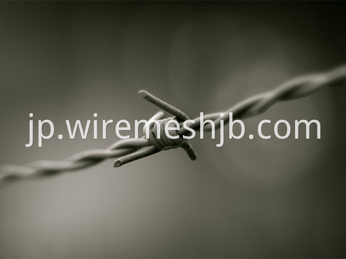 Barb Wire Fence